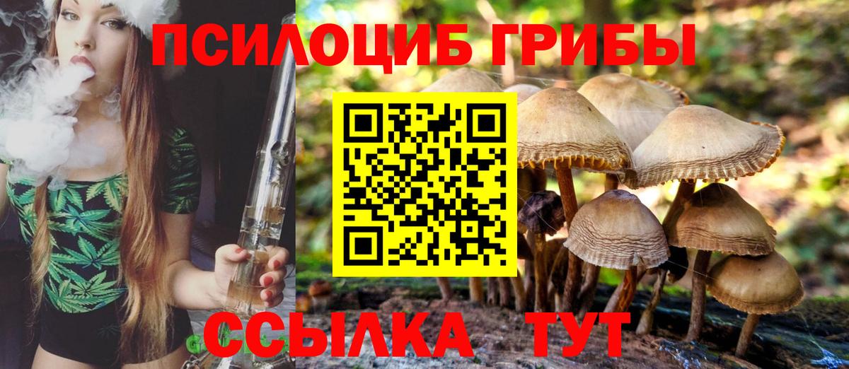 Псилоцибиновые грибы прущие грибы Рубцовск